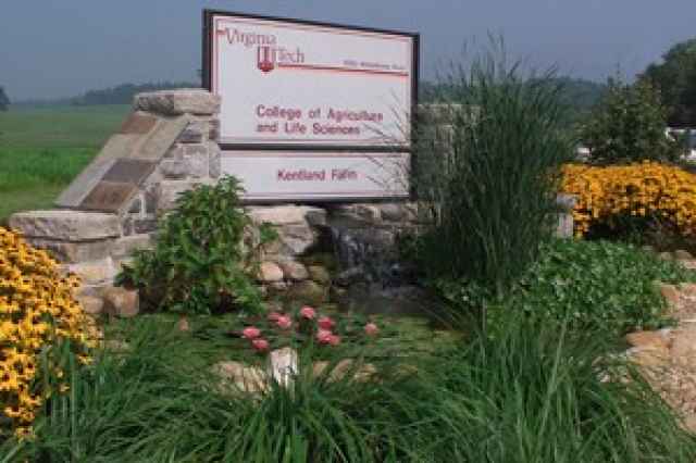 Kentland
