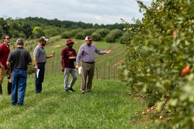 A man gestures at trees before a group of people in an apple orchard.